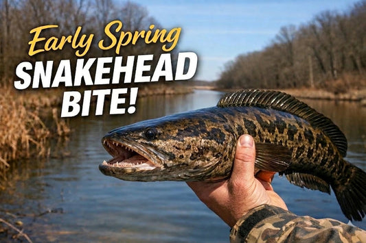 Warm Week, Cold Snap: Catching Northern Snakehead in Early Spring